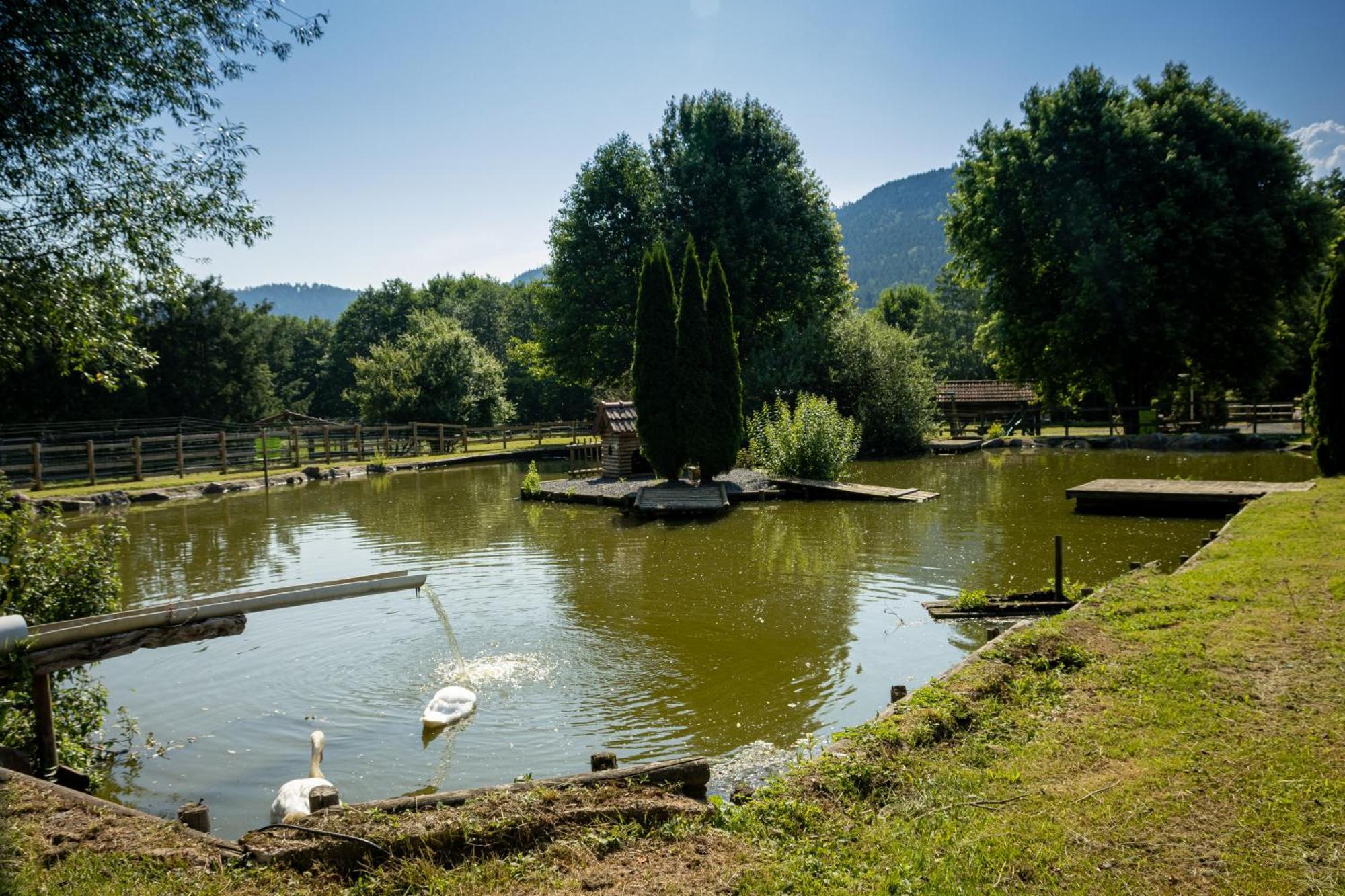 Logis Hotel Le Regal & Spa 생디에데보주 외부 사진